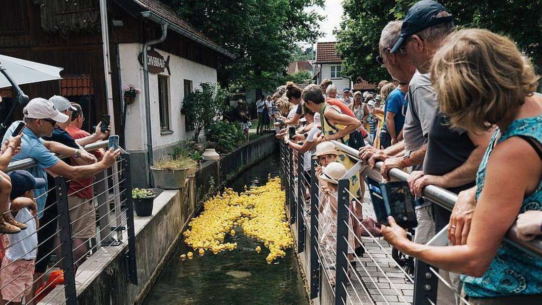 Enten